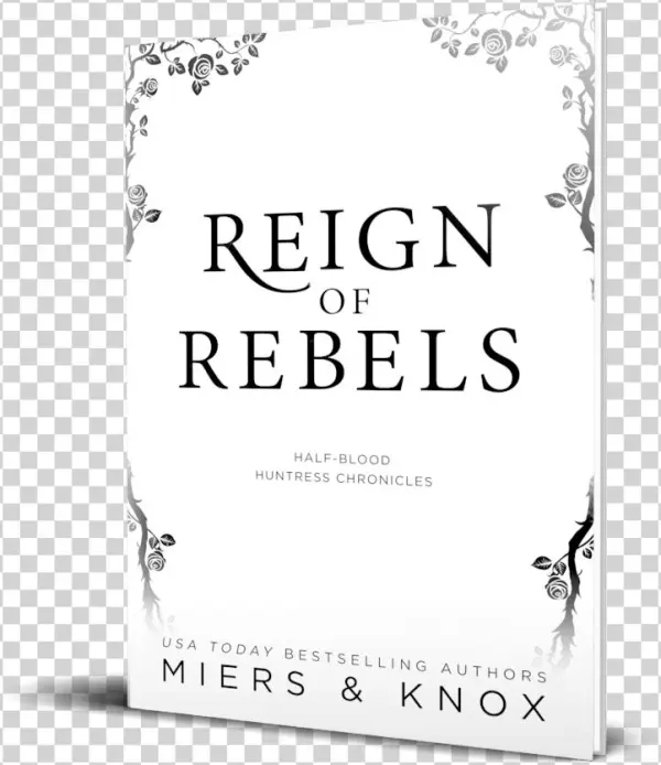 Reign Of Rebels - Illustration