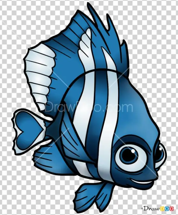 665 X 800 2 - Coral Reef Fish