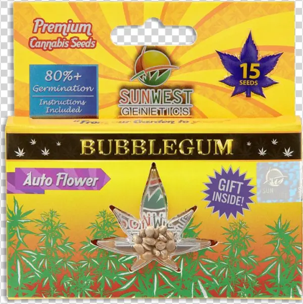 Blubblegum Seeds Sunwest - Photoimpression