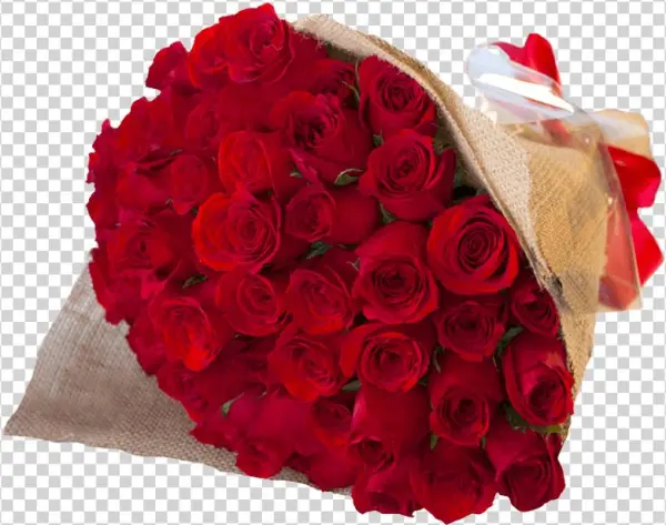 Categorias - Románticosrosas - Floristeria Tijuana