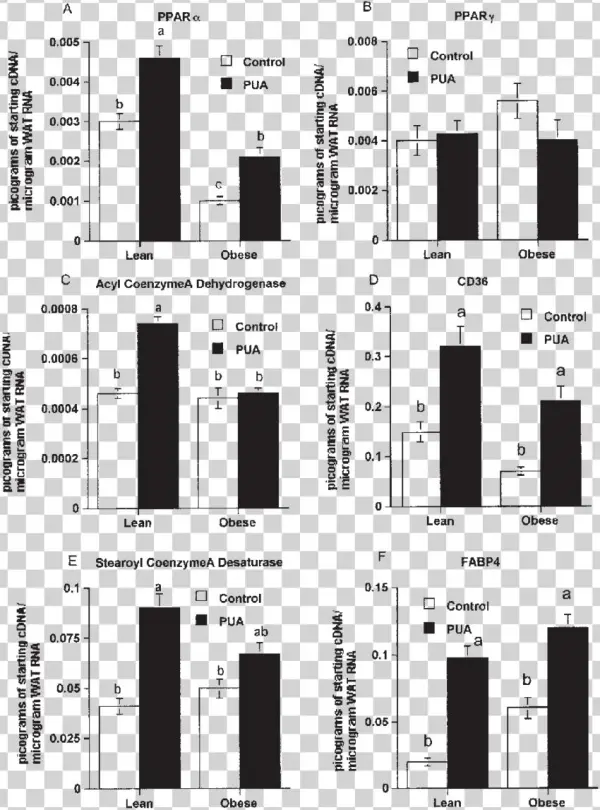 Effect Of Punicic Acid On Expression Of Peroxisome - Lactate Assay Potassium Iodide