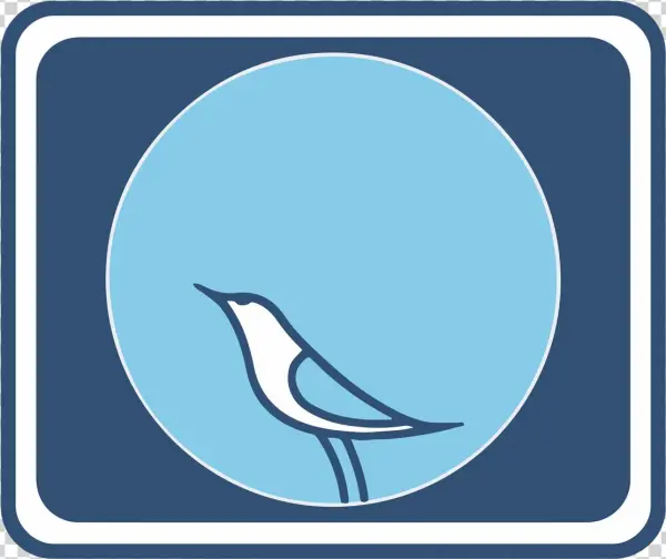 Evening Birds Communications Llp