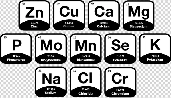Hydration Impacts How Your Body Regulates Temperature,