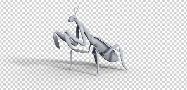 Mantis Wip - Mantidae