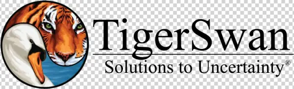 Monitoring And Evaluation Specialist - Cartoon