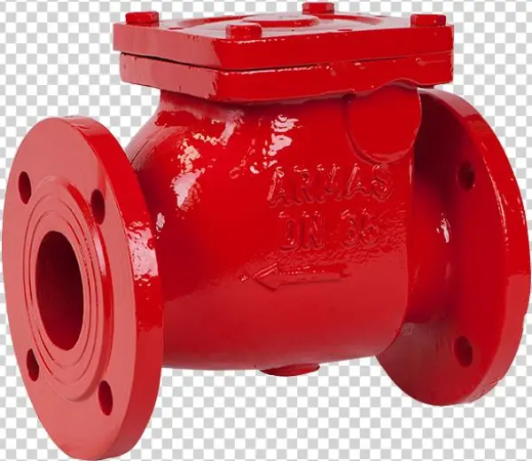 Swing Type Check Valve - Flange