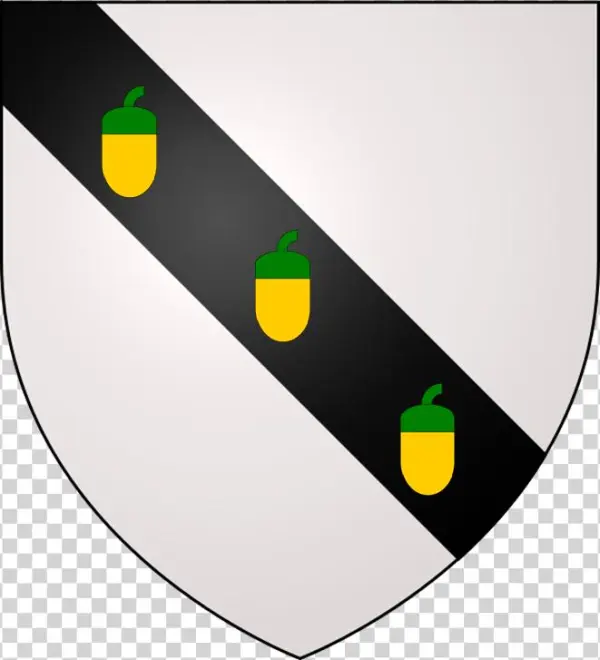 A Dove Rising In The Beak An Olive Branch Ppr