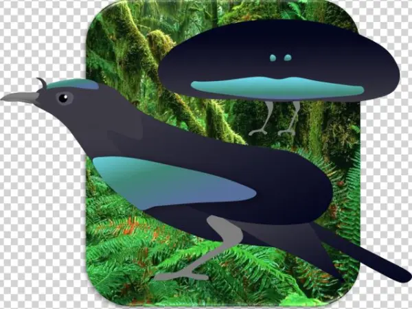 Bird Of Paradise Clipart Superb - Illustration