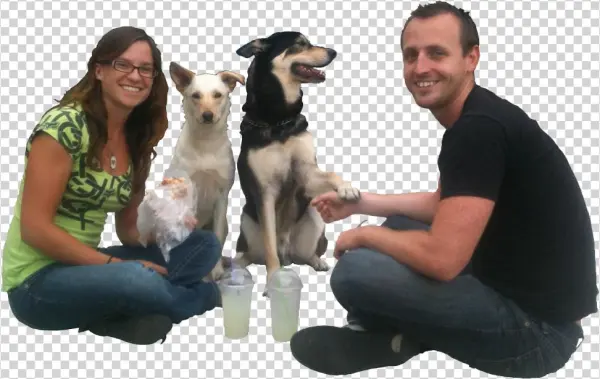 Instant Price Quote - Companion Dog