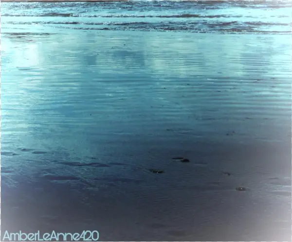 Myphoto Sticker - Sea
