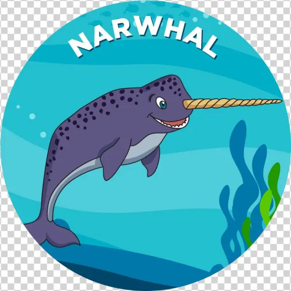 Narwhal - Shark