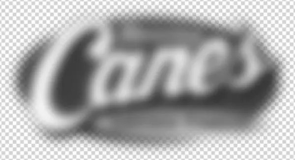 Official Partner - Canes - Emblem