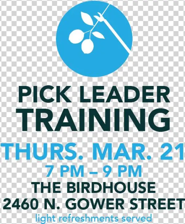 Pick Training - Graphic Design