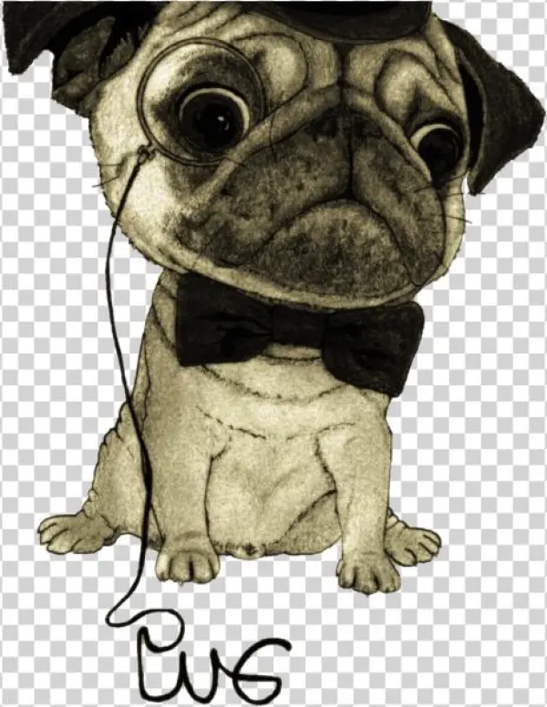 Pug Dibujo Png - Señor Pug