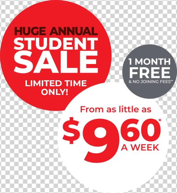 Student Sale Limited Offer - Cibeles Madrid Fashion Week