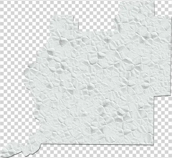 Washington "fun" Style - Illustration