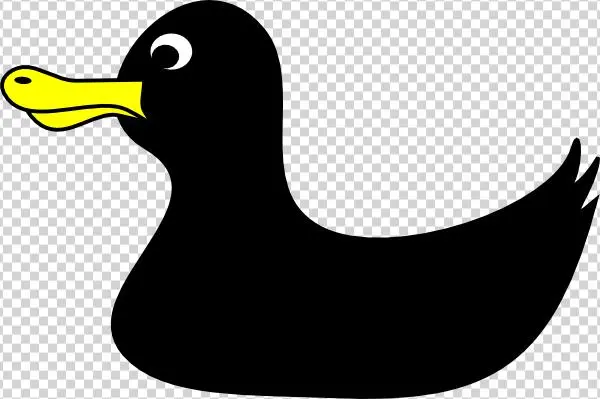 Black Duck Svg Clip Arts 600 X 399 Px