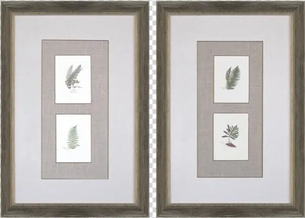 Ferns Pk/2 - Gracie Oaks 'ferns' 2 Piece Graphic Art Print Set