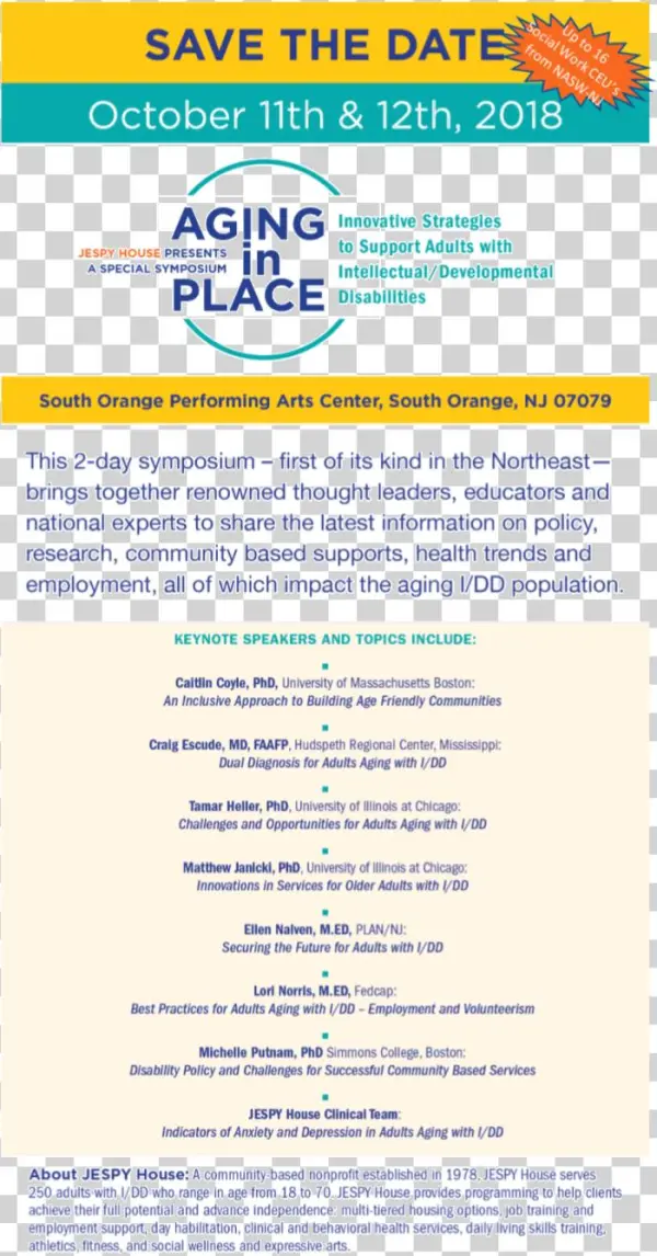 Landing Page Png W Sunburst Transparent6 - Poster