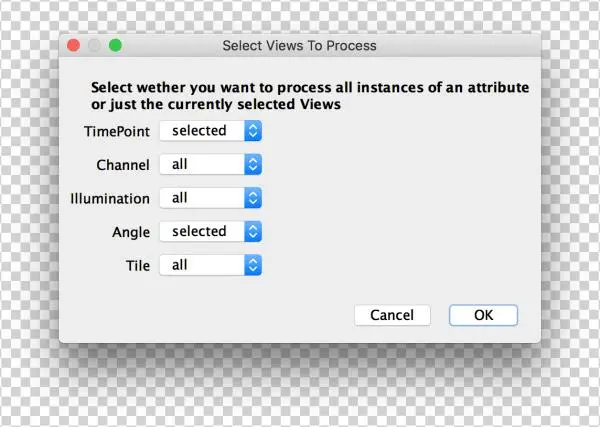 Bigstitcher Stitch 6 - Ios Developer Code