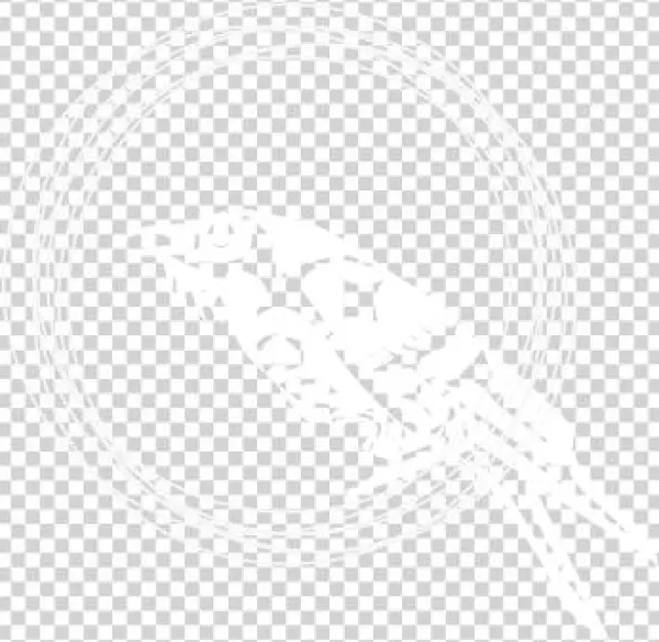 Circle Of Allies - Raven Trust Logo