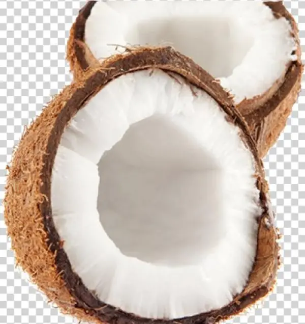 Coconut