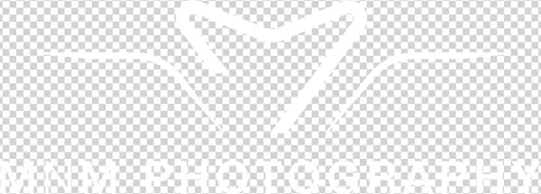 Indian Wedding Photographers In Houston - Nagarjuna