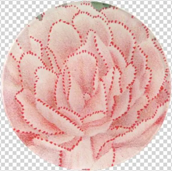 Pink Red Dot Dianthus - Colourpop Super Shock Shadow